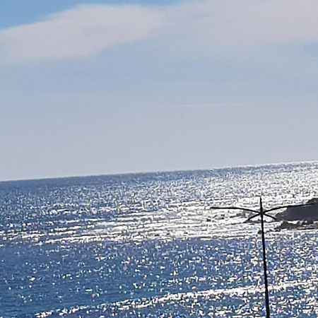 Ajaccio Centre Vieille Ville Imperiale Tt Confort Ttes Commodites 3 A 4 Pers Cathedrale A 300M Mer Port Marche Local Plages Экстерьер фото
